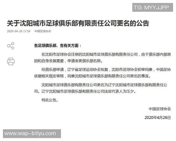 辽宁足球外援名单全面解析及其对球队表现的影响分析